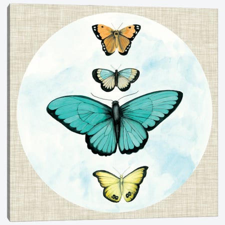 Butterfly Daydream I Canvas Print #NMC172} by Naomi McCavitt Canvas Wall Art