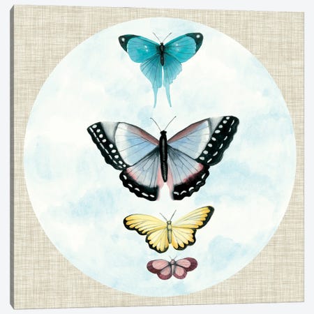 Butterfly Daydream II Canvas Print #NMC173} by Naomi McCavitt Canvas Art