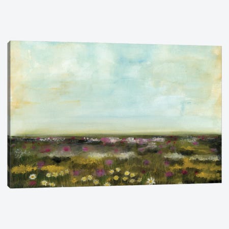 Floral Fields I Canvas Print #NMC176} by Naomi McCavitt Canvas Art Print