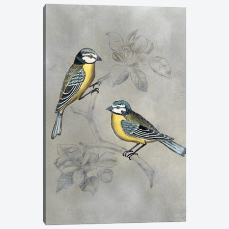 Silvered Aviary I Canvas Print #NMC180} by Naomi McCavitt Canvas Print