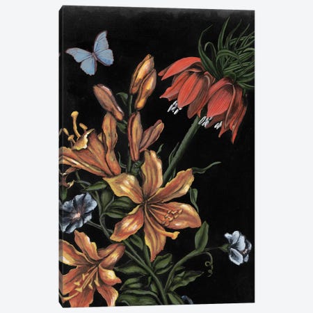 Dark Floral II Canvas Print #NMC196} by Naomi McCavitt Art Print