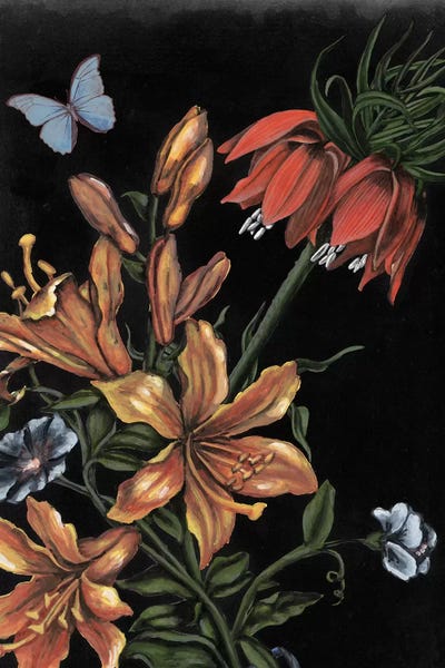 Amaryllis: Dark Floral II by Naomi McCavitt