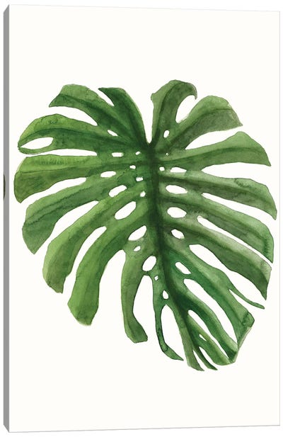 Tropical Breeze Leaves I Canvas Art Print