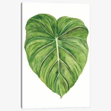 Tropical Breeze Leaves II Canvas Print #NMC208} by Naomi McCavitt Canvas Wall Art