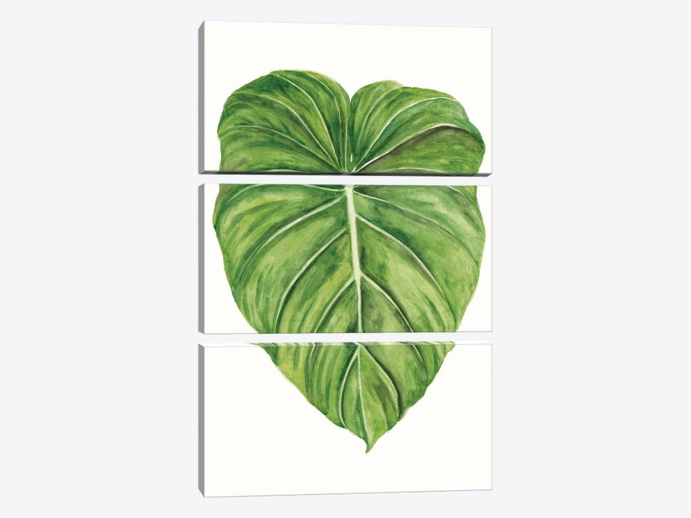 Tropical Breeze Leaves II 3-piece Canvas Art Print
