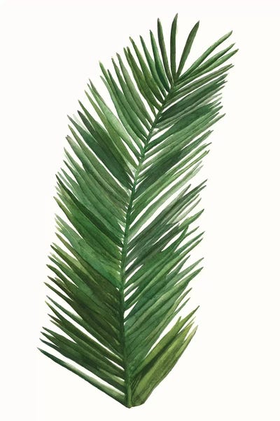 Tropical Breeze Leaves V by Naomi McCavitt framed canvas print