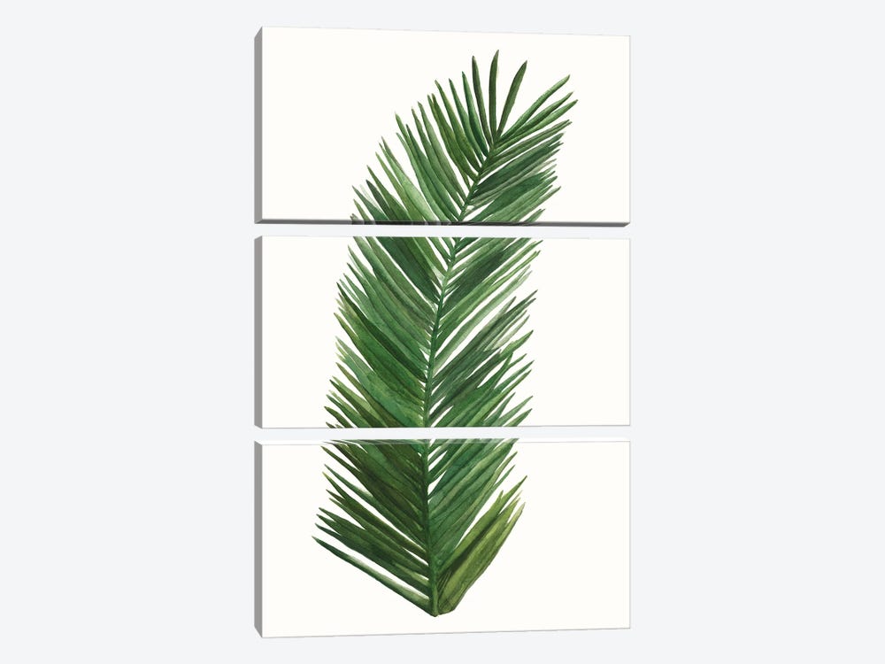 Tropical Breeze Leaves V by Naomi McCavitt 3-piece Canvas Art