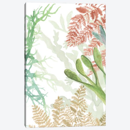Woven Sea Plants I Canvas Print #NMC211} by Naomi McCavitt Canvas Print
