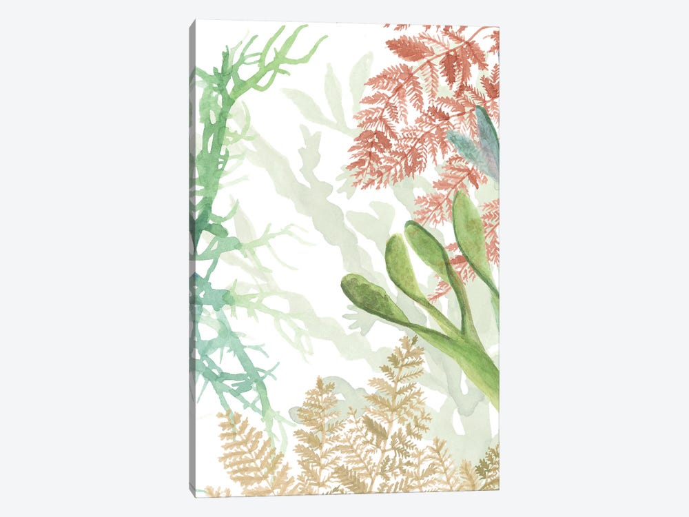 Woven Sea Plants I by Naomi McCavitt 1-piece Canvas Print