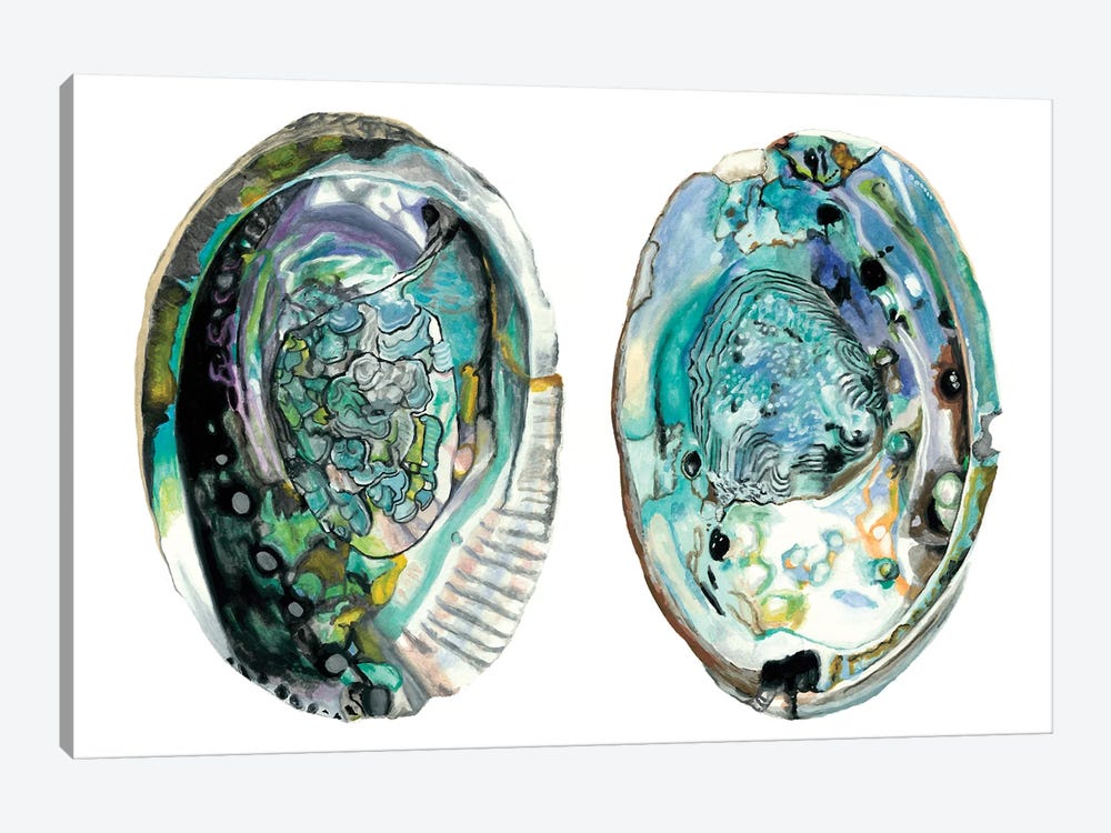 Abalone Shells I by Naomi McCavitt 1-piece Art Print