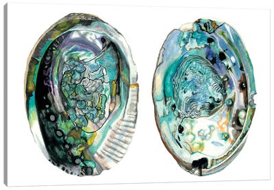 Abalone Shells I Canvas Art Print - Sea Shell Art