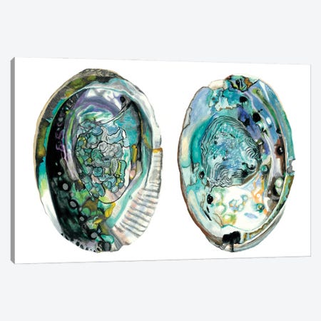 Abalone Shells I Canvas Print #NMC215} by Naomi McCavitt Canvas Art