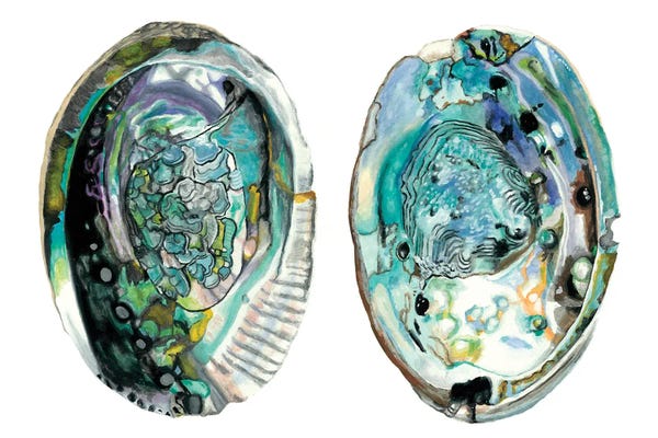 Naomi McCavitt: Abalone Shells I by Naomi McCavitt