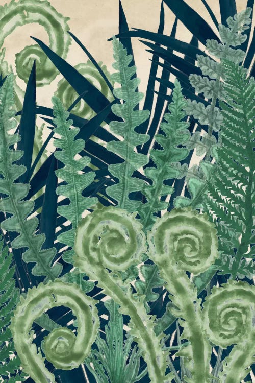 Fiddlehead Waltz II by Naomi McCavitt wall art