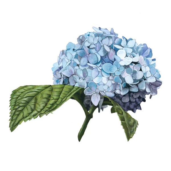 Modern Farmhouse Bedroom: Brighton Blooms I by Naomi McCavitt