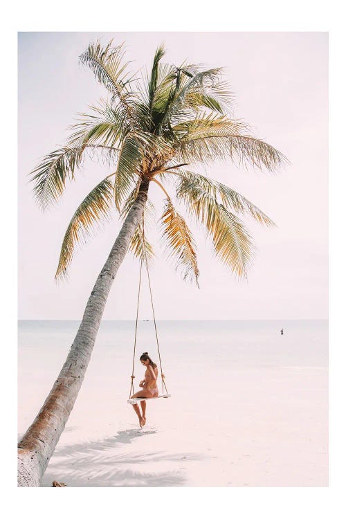 Palm Tree Swing