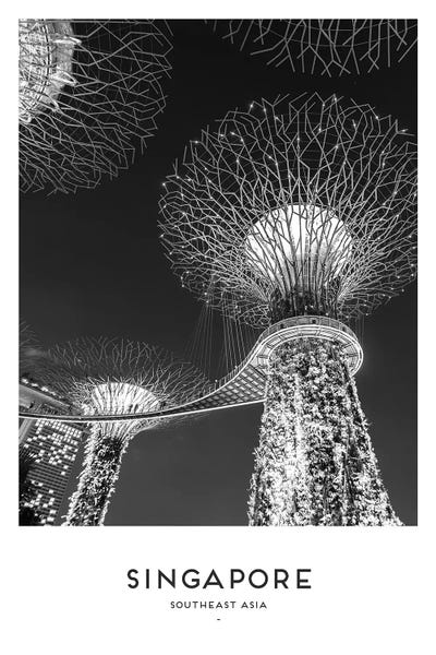 Southeast Asian Culture: Singapore Black And White by Naomi Davies