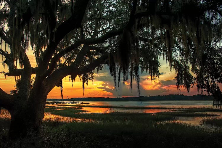 Savannah Evening