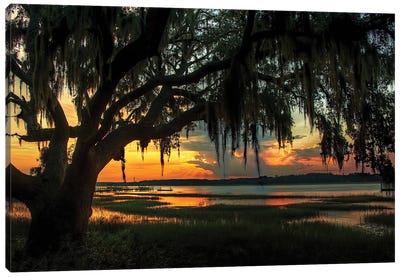 Savannah Evening Canvas Art Print - Marsh & Swamp Art