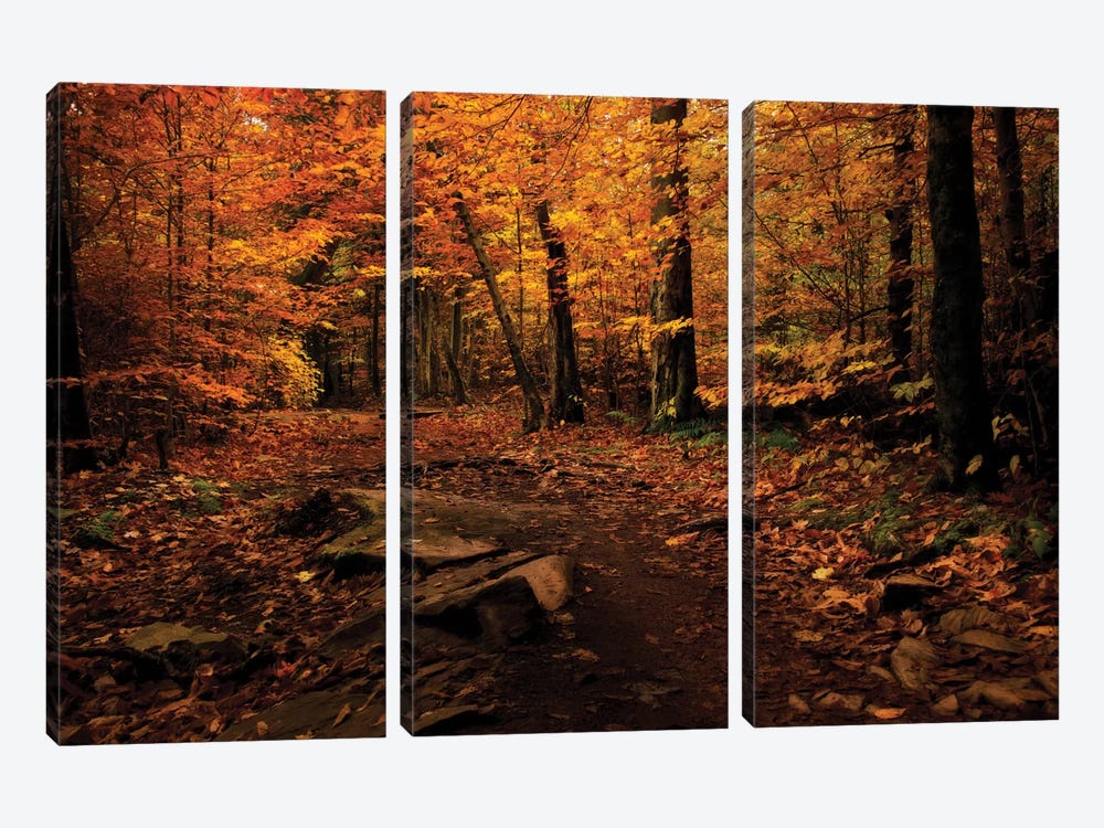 Autumn Path by Natalie Mikaels 3-piece Canvas Print