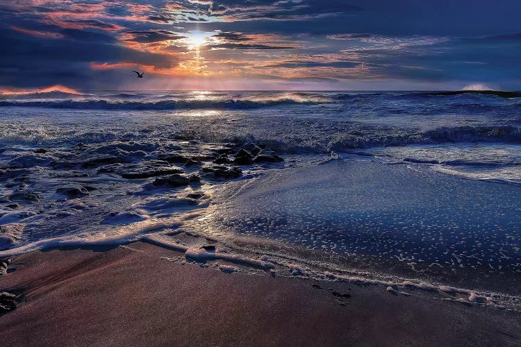 Deep Blue by Natalie Mikaels wall art