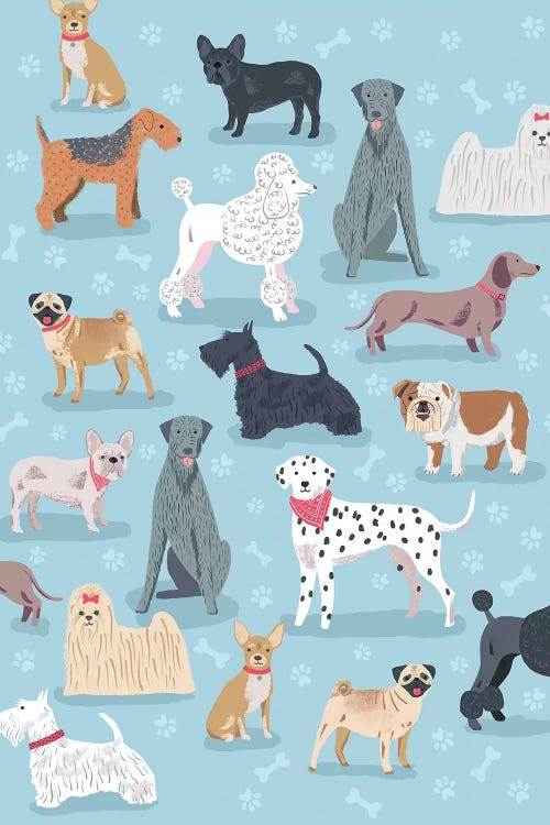 Everyday Dog And Bone I by Nancy Mckenzie wall art