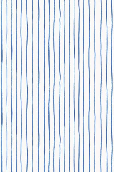 Home Blue Kitchen II by Nancy Mckenzie canvas print