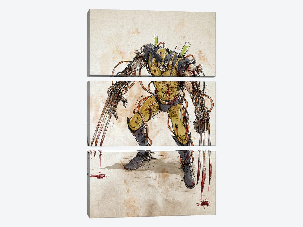 Rusty Wolverine by Nico Di Mattia 3-piece Canvas Art
