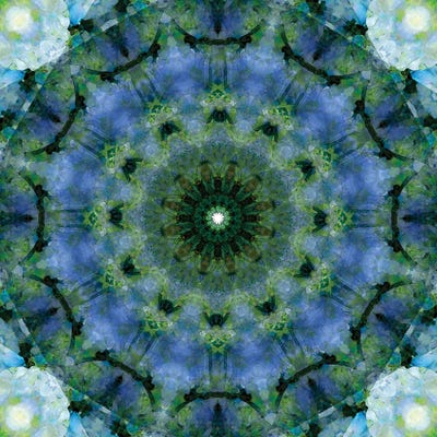 Colorful Kaleidoscope VIII by Anna Miller canvas print