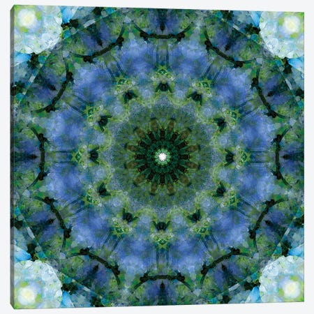 Colorful Kaleidoscope VIII Canvas Print #NNA10} by Anna Miller Canvas Print