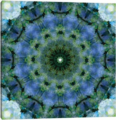 Colorful Kaleidoscope VIII Canvas Art Print