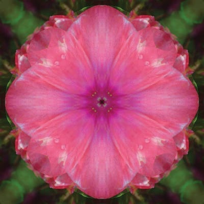 Colorful Kaleidoscope X by Anna Miller acrylic art print