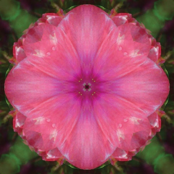 Anna Miller: Colorful Kaleidoscope X by Anna Miller