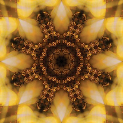 Colorful Kaleidoscope XI by Anna Miller canvas print