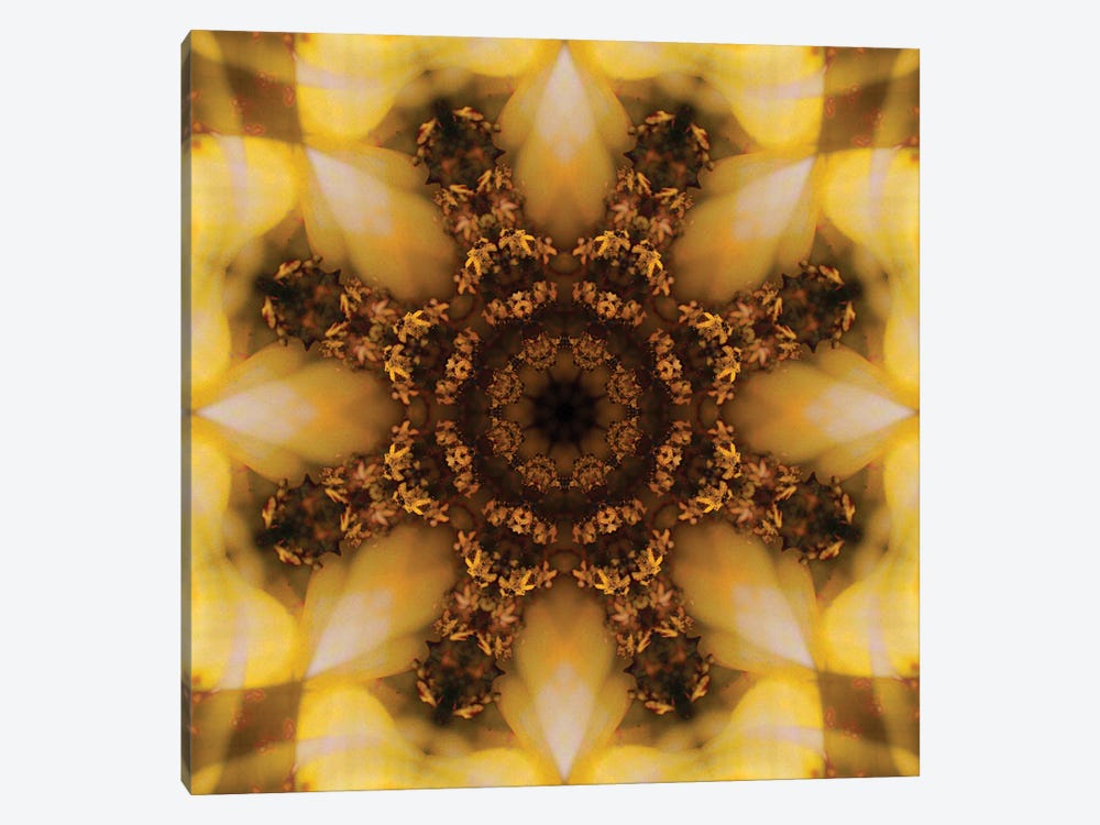 Colorful Kaleidoscope XI by Anna Miller 1-piece Canvas Art Print