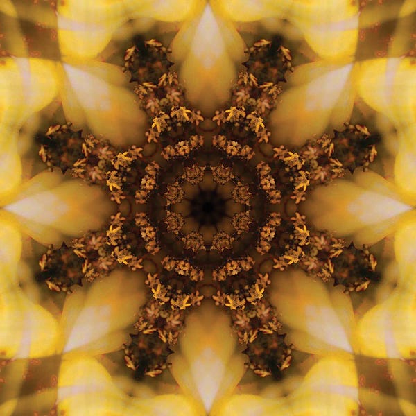 Anna Miller: Colorful Kaleidoscope XI by Anna Miller