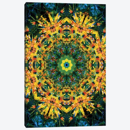 Colorful Kaleidoscope XII Canvas Print #NNA16} by Anna Miller Canvas Wall Art