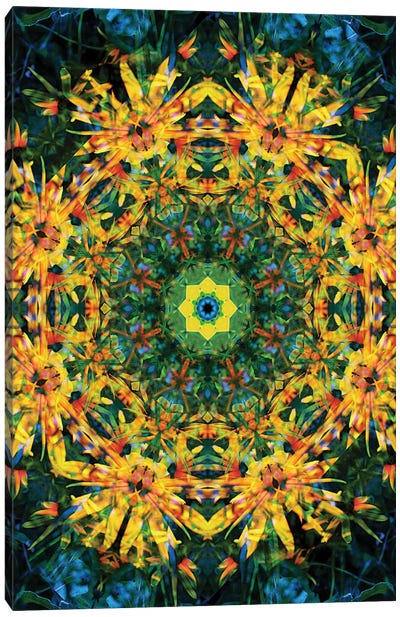 Colorful Kaleidoscope XII Canvas Art Print