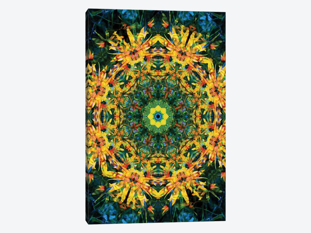 Colorful Kaleidoscope XII by Anna Miller 1-piece Canvas Artwork