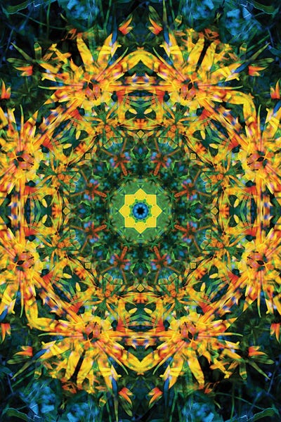 Anna Miller: Colorful Kaleidoscope XII by Anna Miller