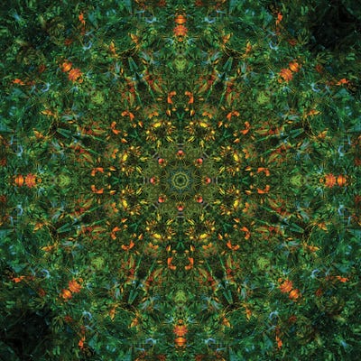 Colorful Kaleidoscope XIII by Anna Miller acrylic art print