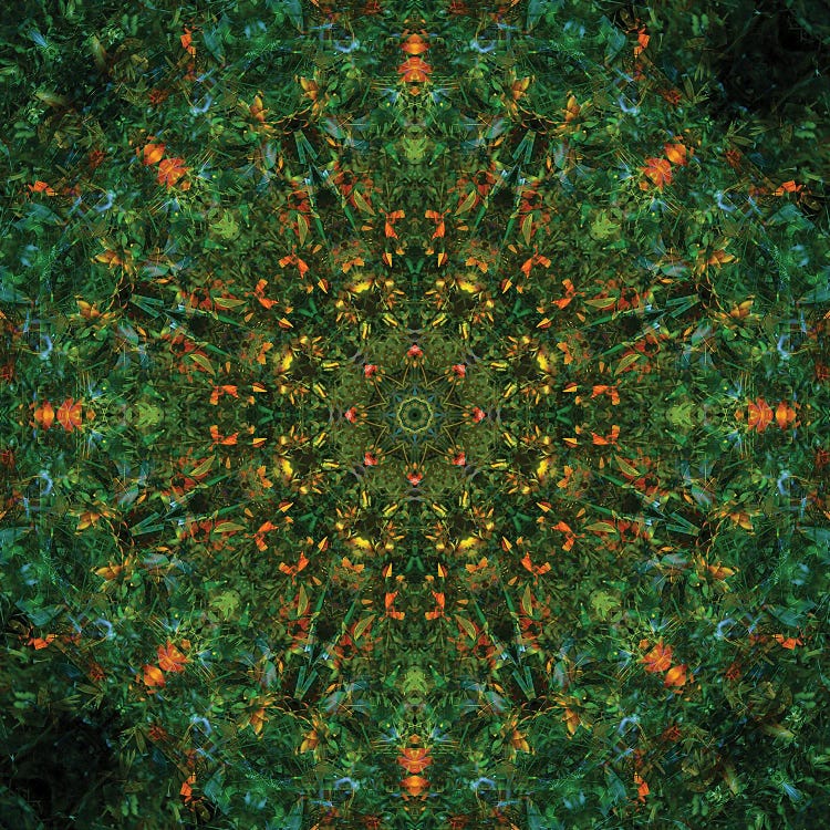 Colorful Kaleidoscope XIII