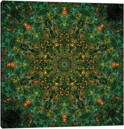 Colorful Kaleidoscope XIII Canvas Art Print