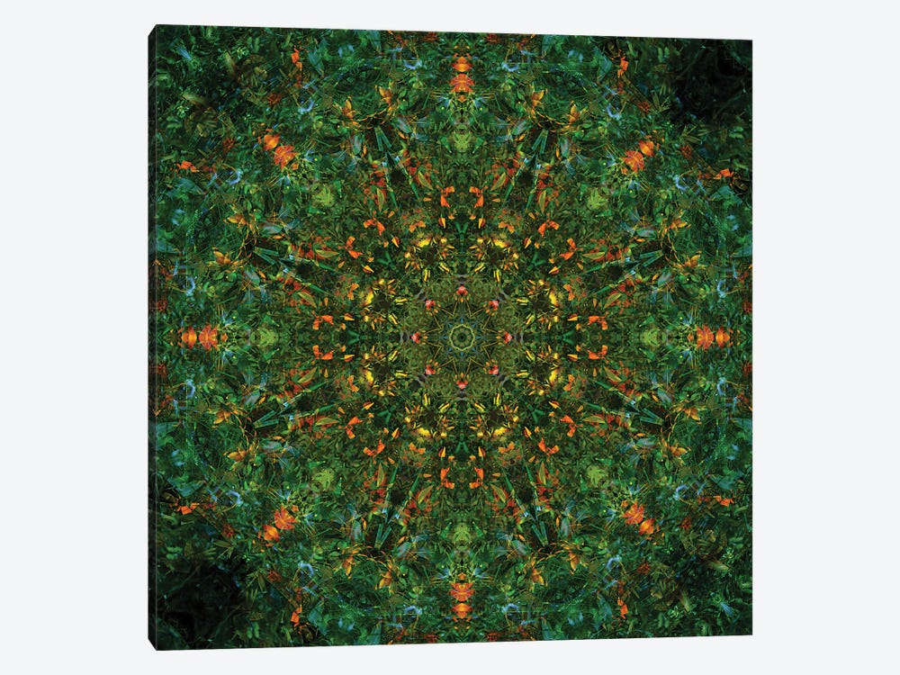 Colorful Kaleidoscope XIII by Anna Miller 1-piece Canvas Print