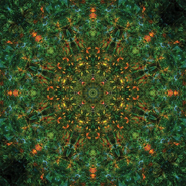 Anna Miller: Colorful Kaleidoscope XIII by Anna Miller