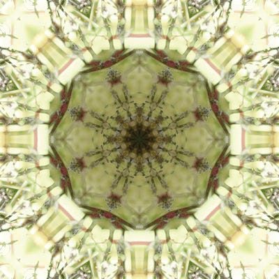 Colorful Kaleidoscope XIV by Anna Miller canvas print