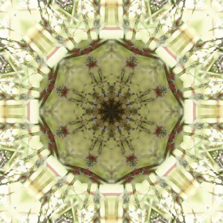 Colorful Kaleidoscope XIV