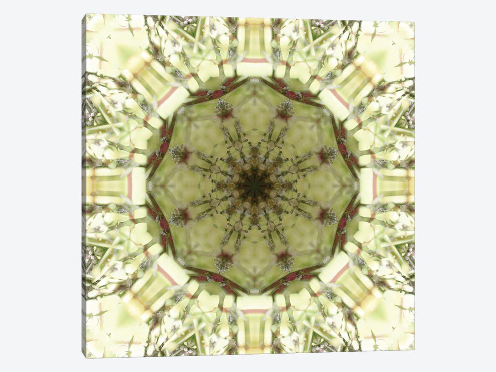 Colorful Kaleidoscope XIV by Anna Miller 1-piece Canvas Wall Art