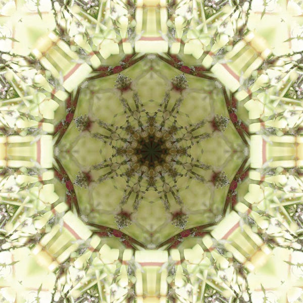 Anna Miller: Colorful Kaleidoscope XIV by Anna Miller