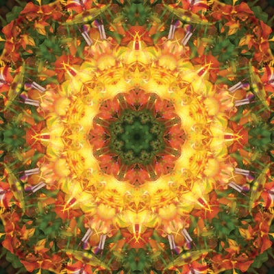 Colorful Kaleidoscope XV by Anna Miller canvas print